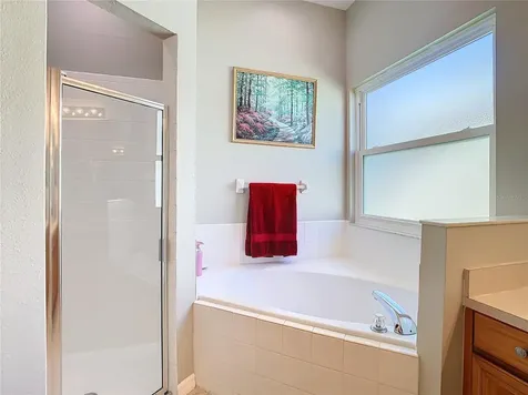 1352 Highwood Place Wesley Chapel FL 33543
