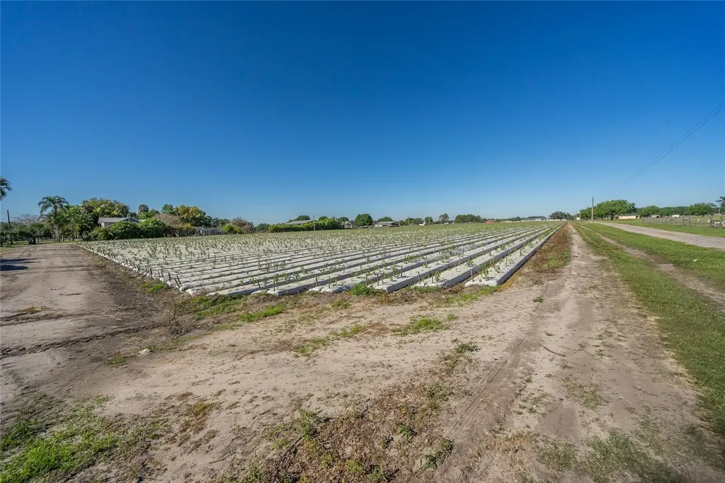 3811 Old Mulberry Road Plant City FL 33567