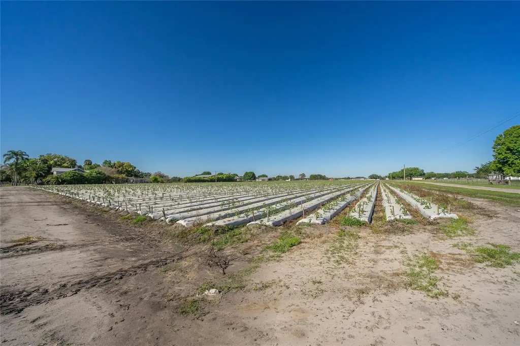 3811 Old Mulberry Road Plant City FL 33567