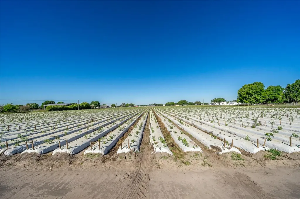 3811 Old Mulberry Road Plant City FL 33567
