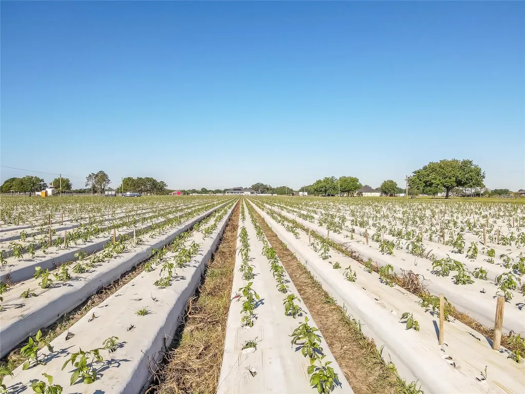 3811 Old Mulberry Road Plant City FL 33567