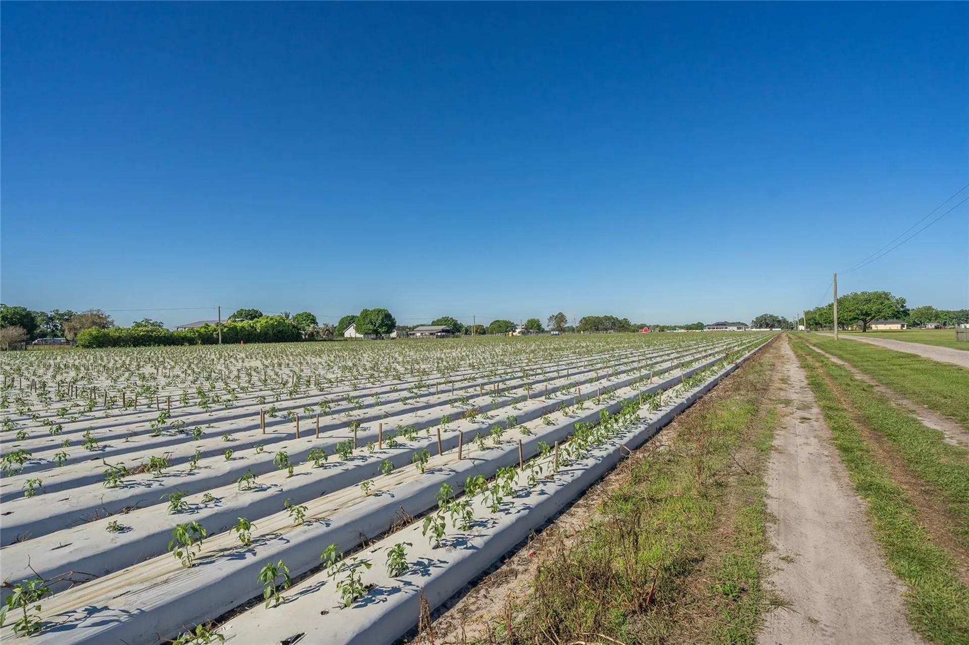 3811 Old Mulberry Road Plant City FL 33567