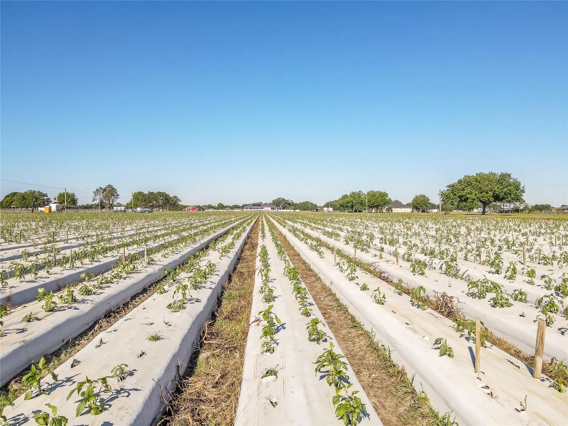 3811 Old Mulberry Road Plant City FL 33567