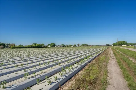 3811 Old Mulberry Road Plant City FL 33567