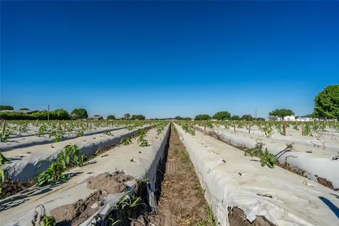 3811 Old Mulberry Road Plant City FL 33567