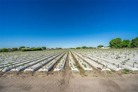 3811 Old Mulberry Road Plant City FL 33567