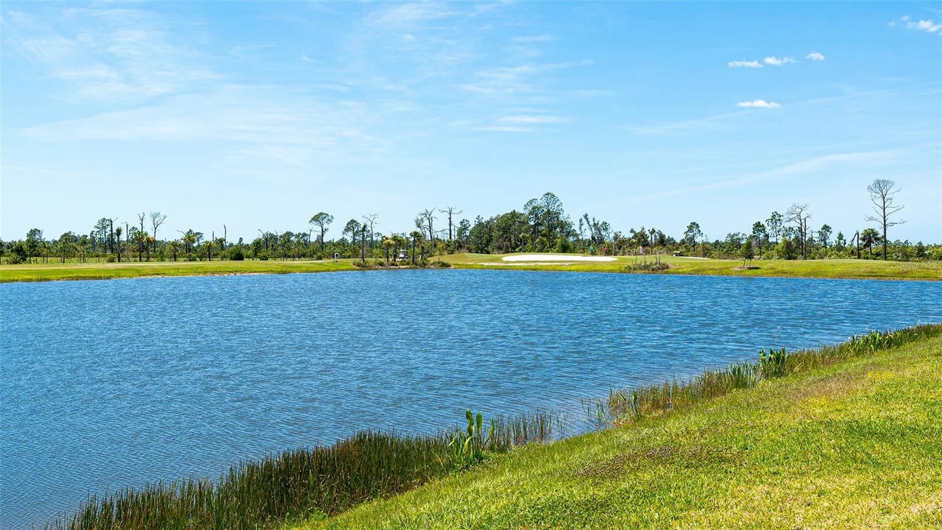 12453 Wellen Golf Street Venice FL 34293