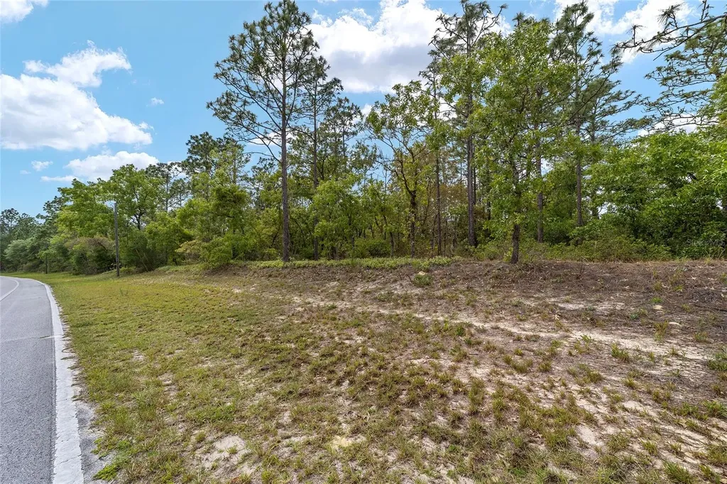 9200 N Citrus Springs Boulevard Citrus Springs FL 34433