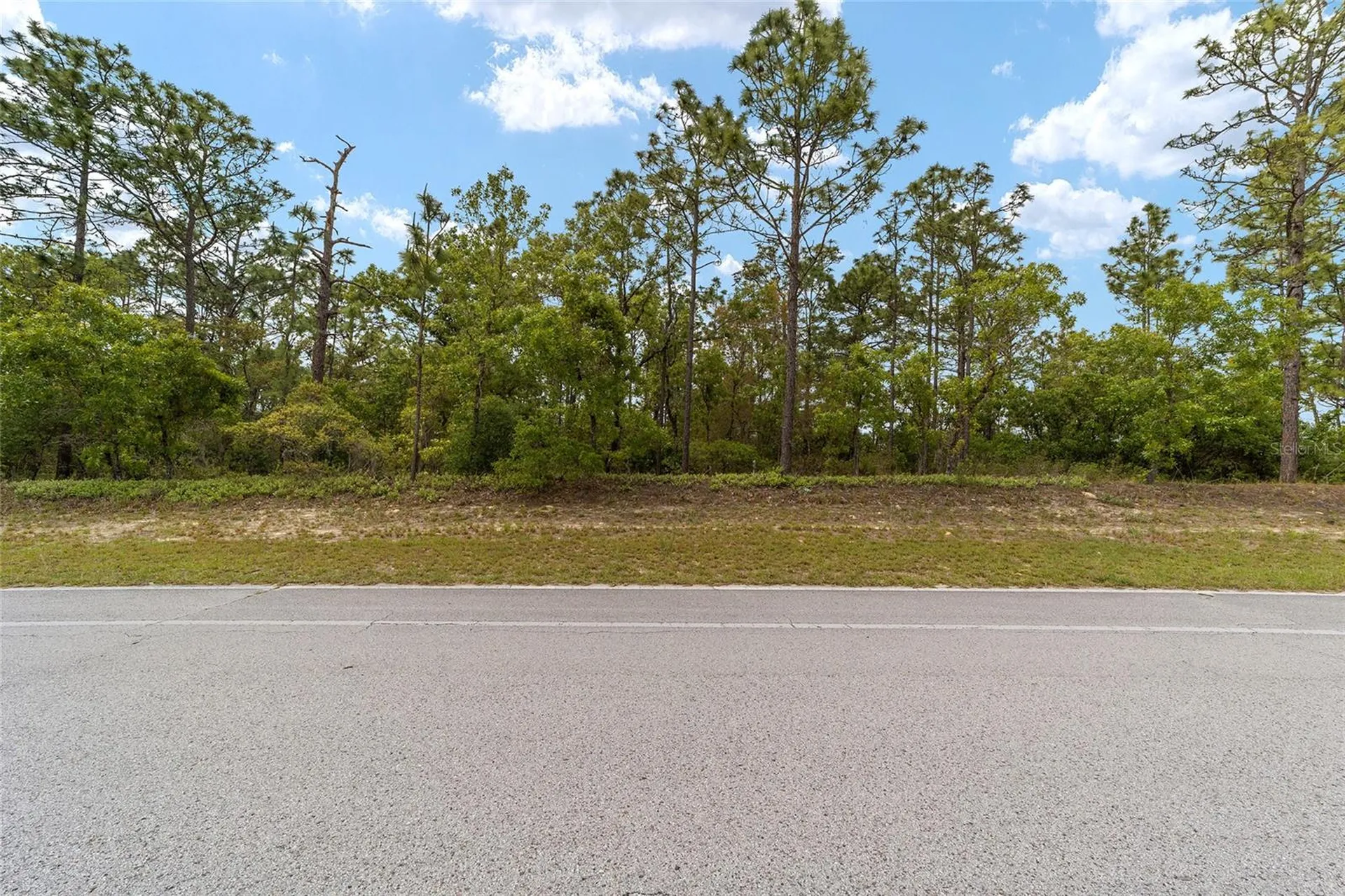 9200 N Citrus Springs Boulevard Citrus Springs FL 34433