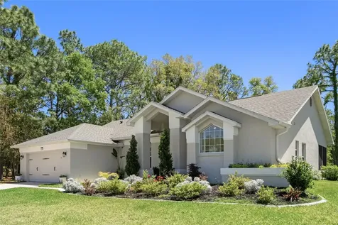 11 Maidenbush Court E Homosassa FL 34446