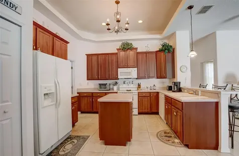 21717 Mccallie Court Land O Lakes FL 34637