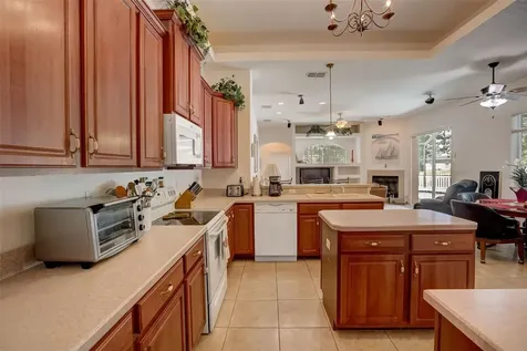 21717 Mccallie Court Land O Lakes FL 34637