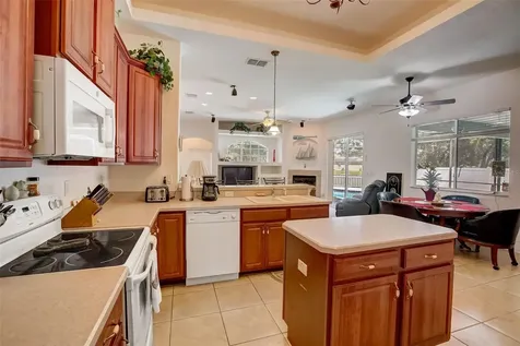 21717 Mccallie Court Land O Lakes FL 34637