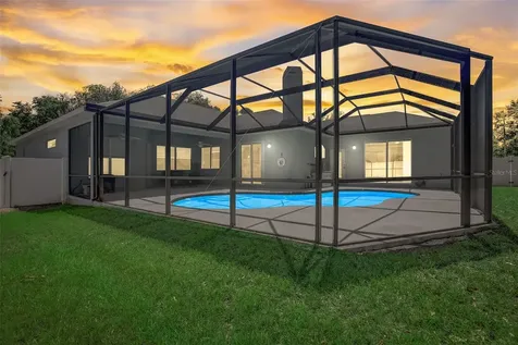 21717 Mccallie Court Land O Lakes FL 34637