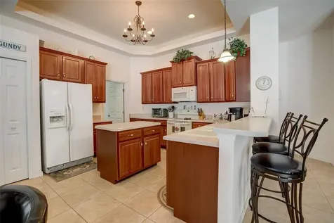 21717 Mccallie Court Land O Lakes FL 34637