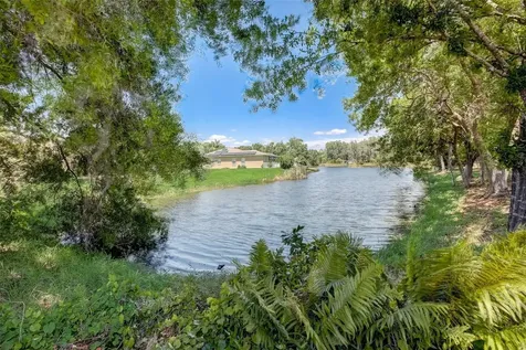 21717 Mccallie Court Land O Lakes FL 34637