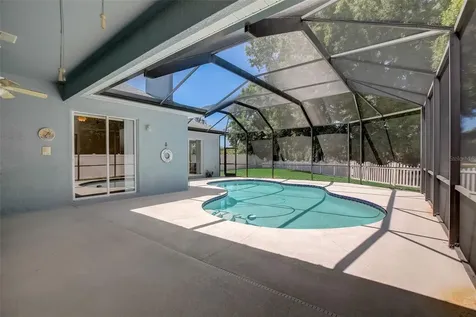 21717 Mccallie Court Land O Lakes FL 34637