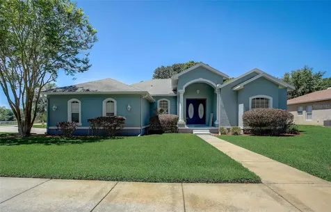 21717 Mccallie Court Land O Lakes FL 34637