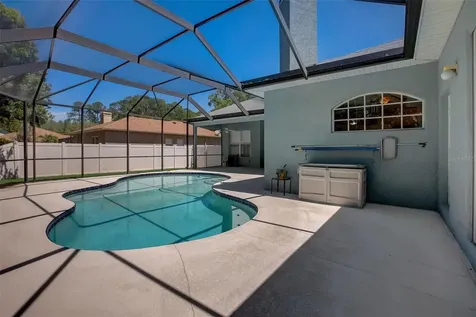 21717 Mccallie Court Land O Lakes FL 34637