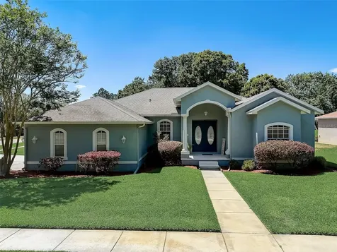 21717 Mccallie Court Land O Lakes FL 34637