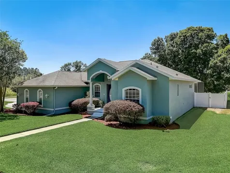 21717 Mccallie Court Land O Lakes FL 34637