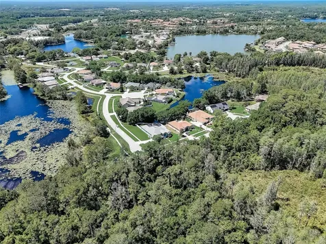 21717 Mccallie Court Land O Lakes FL 34637
