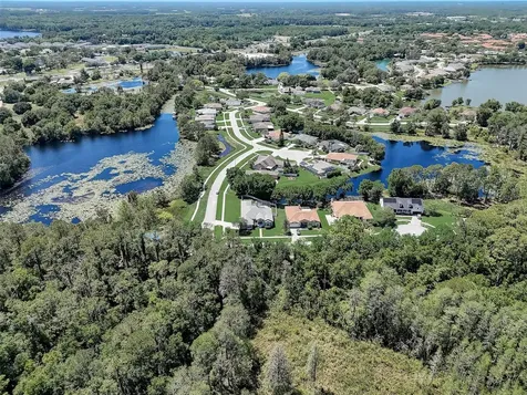 21717 Mccallie Court Land O Lakes FL 34637