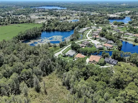 21717 Mccallie Court Land O Lakes FL 34637
