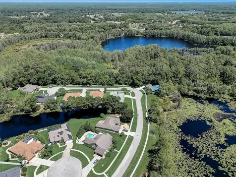21717 Mccallie Court Land O Lakes FL 34637