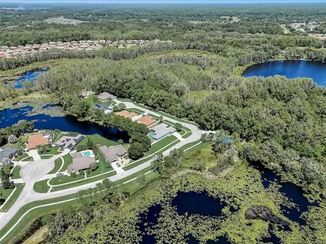 21717 Mccallie Court Land O Lakes FL 34637