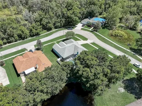 21717 Mccallie Court Land O Lakes FL 34637