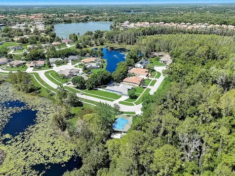 21717 Mccallie Court Land O Lakes FL 34637
