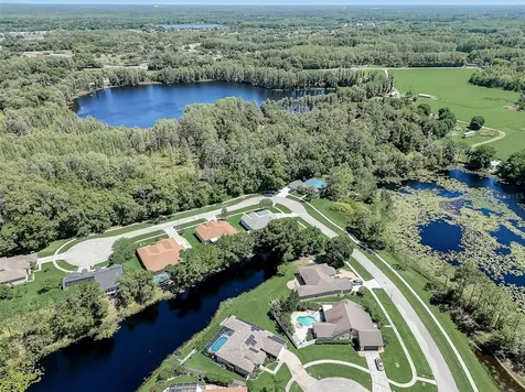 21717 Mccallie Court Land O Lakes FL 34637