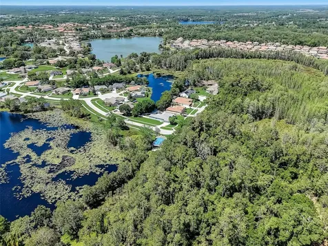 21717 Mccallie Court Land O Lakes FL 34637