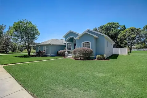 21717 Mccallie Court Land O Lakes FL 34637