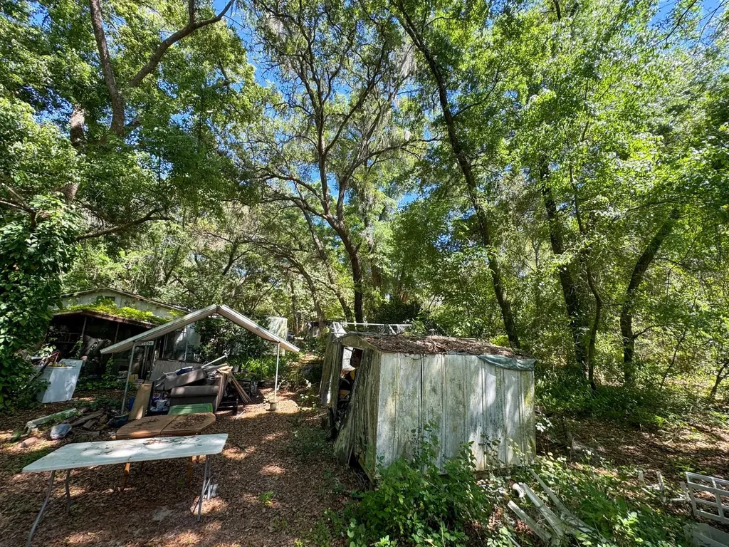 21050 SE 155th Street Umatilla FL 32784