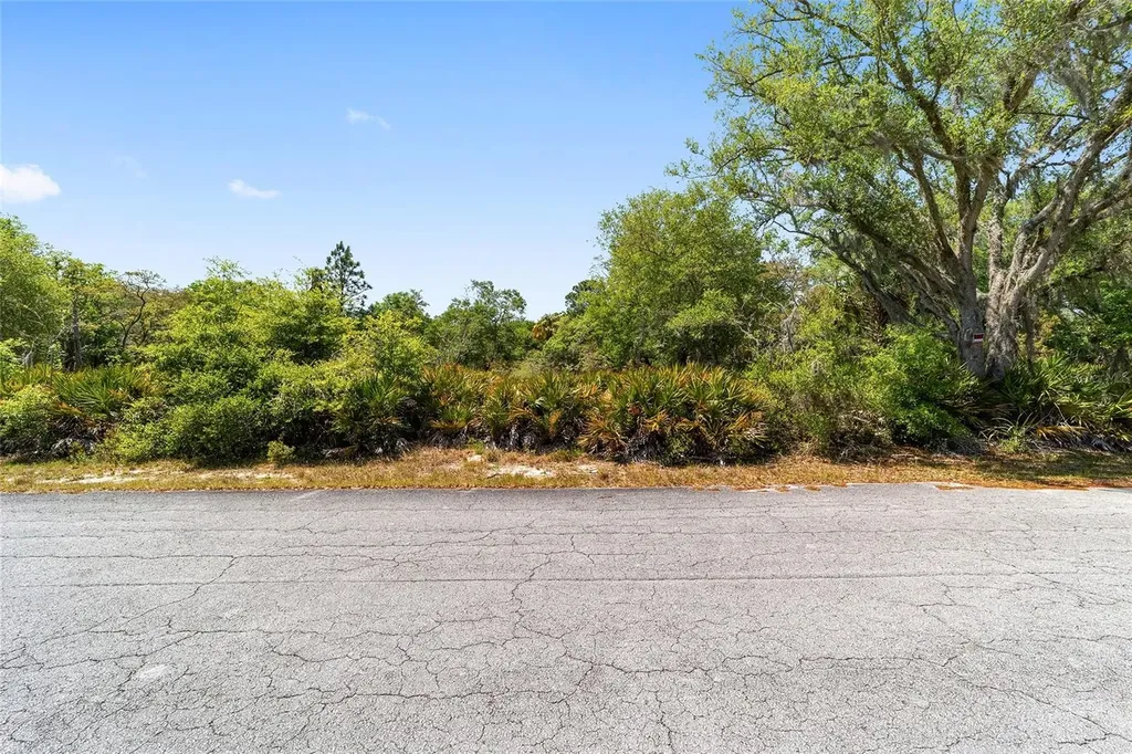12577 W Rosemary Place Crystal River FL 34428
