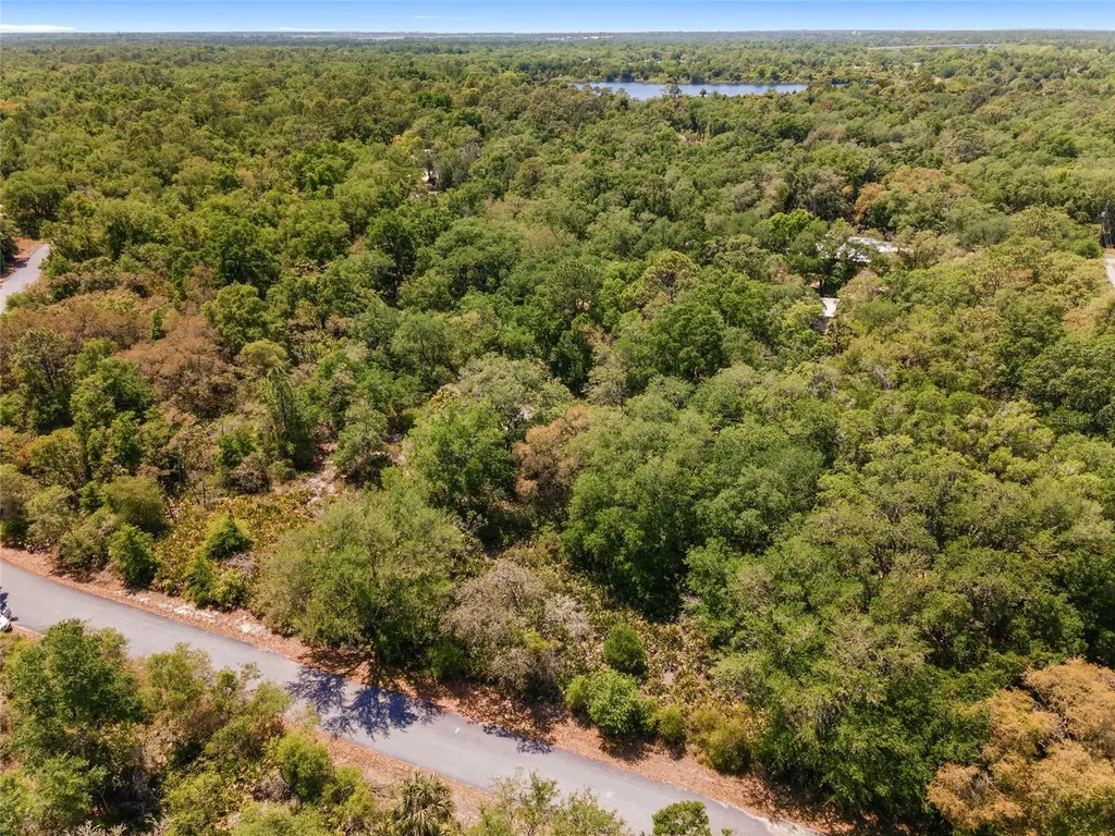 12577 W Rosemary Place Crystal River FL 34428