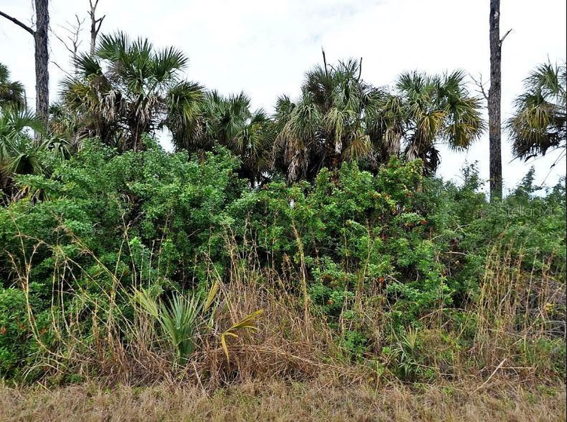 Silverleaf Road North Port FL 34288