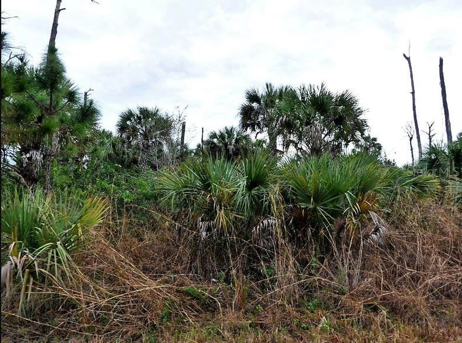 Pimento Circle North Port FL 34288