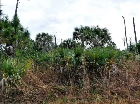 Pimento Circle North Port FL 34288