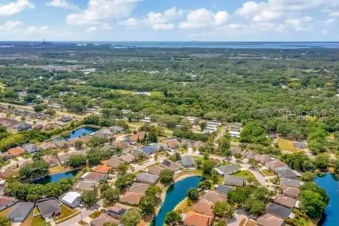 9530 Cypress Harbor Drive Gibsonton FL 33534