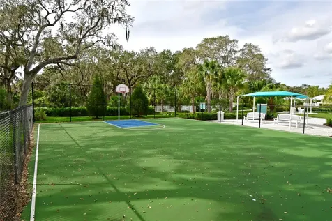 10516 Crooked Creek Court Parrish FL 34219