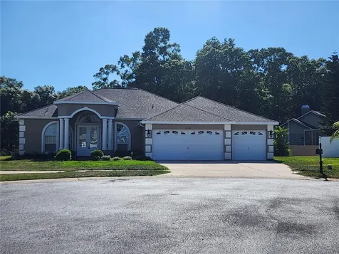 23738 Peace Pipe Court Lutz FL 33559