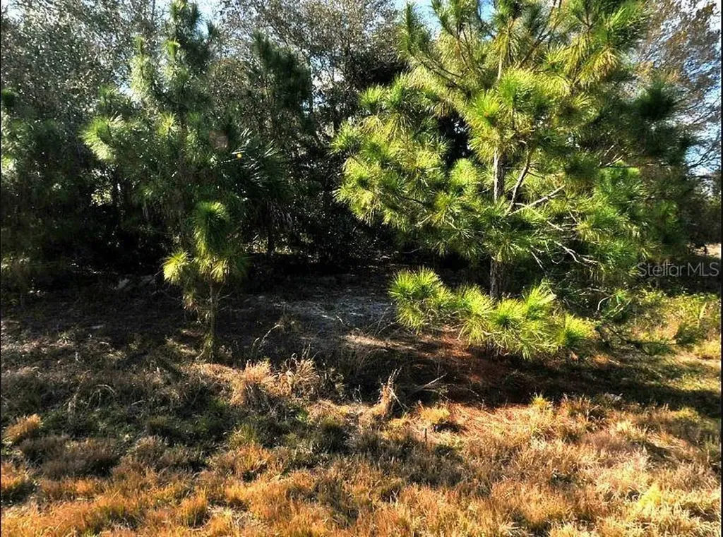 Hope Court North Port FL 34288
