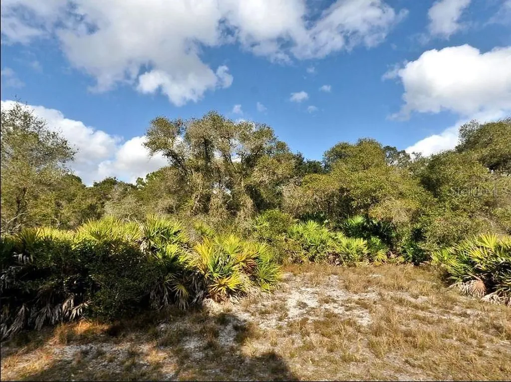 Cody Circle North Port FL 34291
