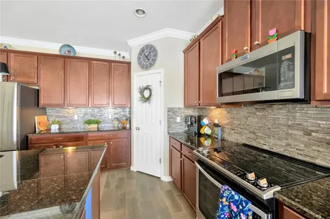 11932 Greenchop Place Riverview FL 33579