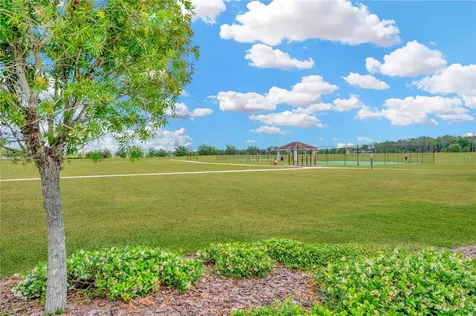 11932 Greenchop Place Riverview FL 33579