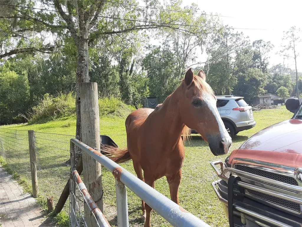 8333 Kathleen Road Lakeland FL 33810