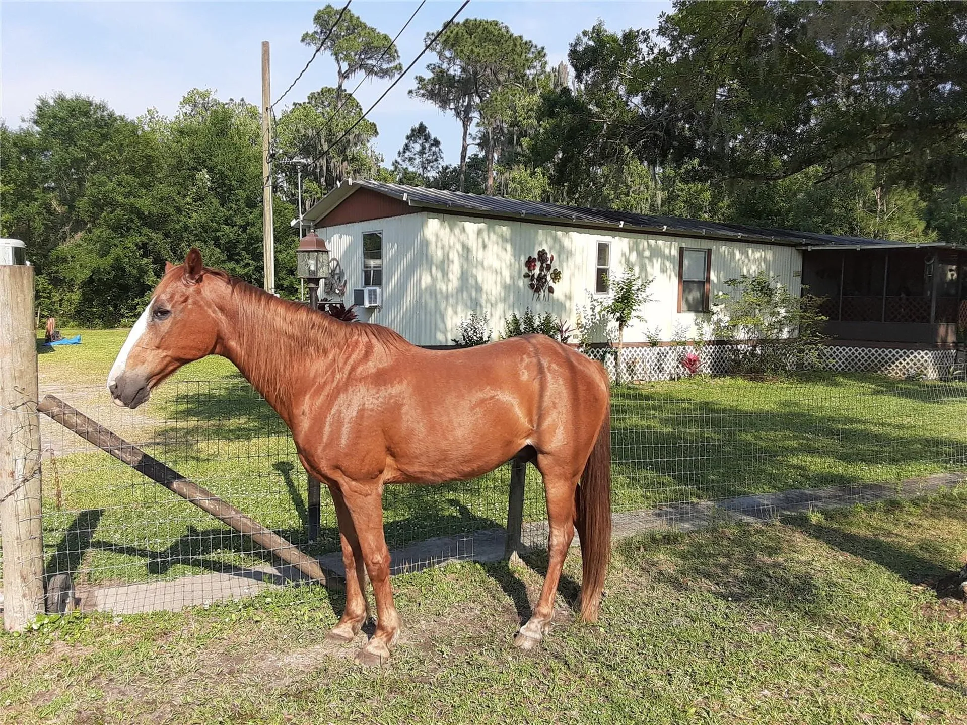 8333 Kathleen Road Lakeland FL 33810